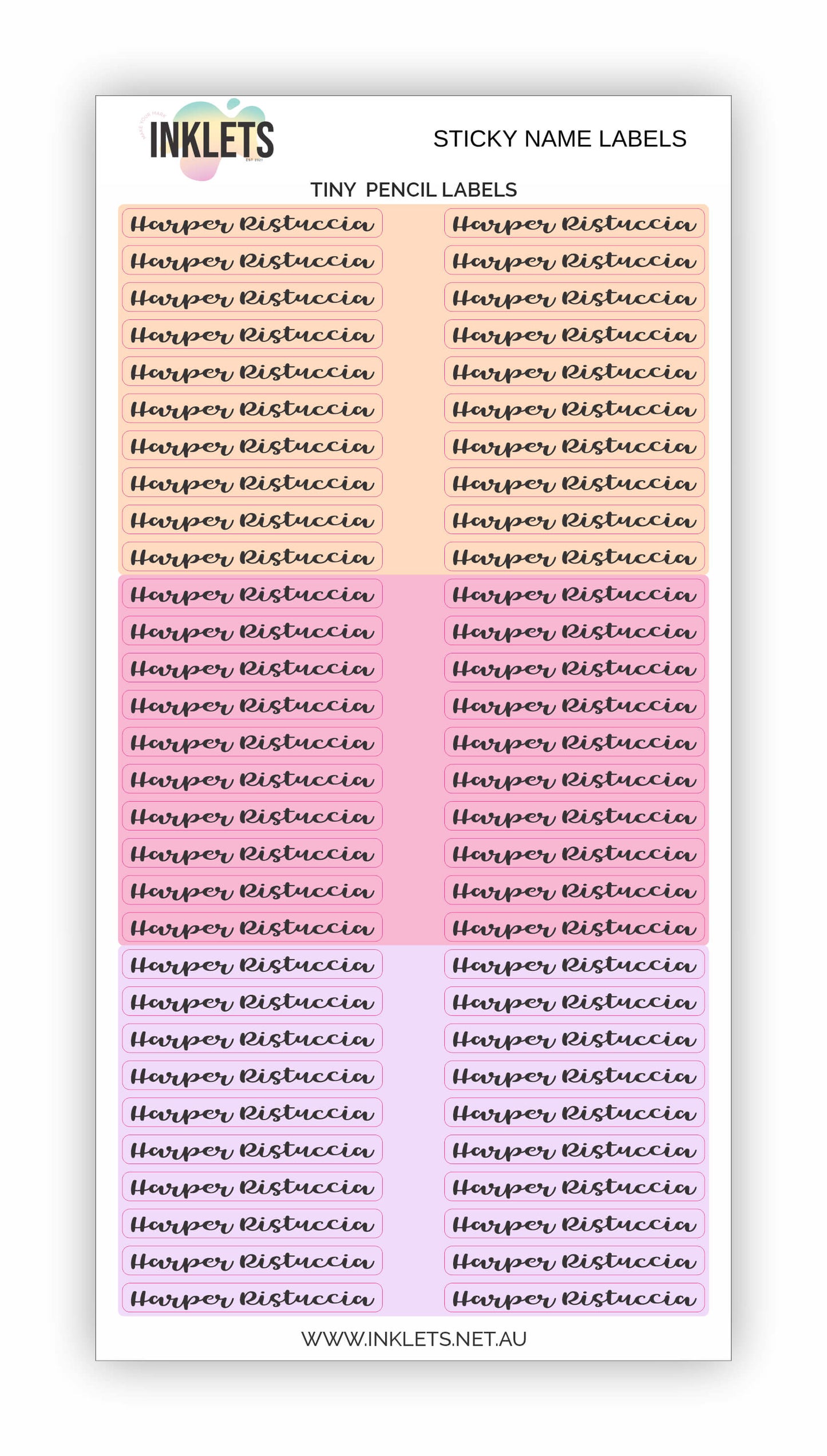Pink Dinos Name Label Bundle
